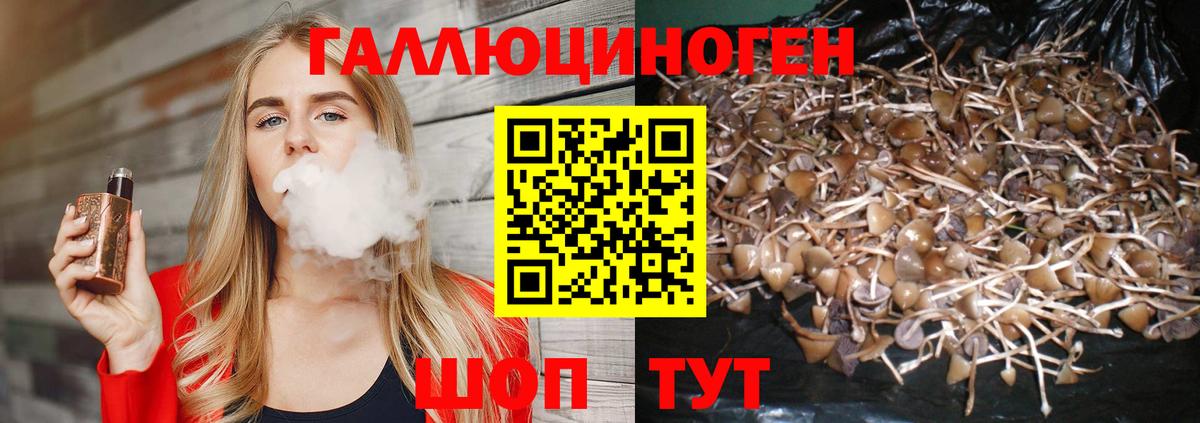 Майкоп  Псилоцибиновые грибы мухоморы  Галлюциногенные грибы GOLDEN TEACHER  Вход с VPN 