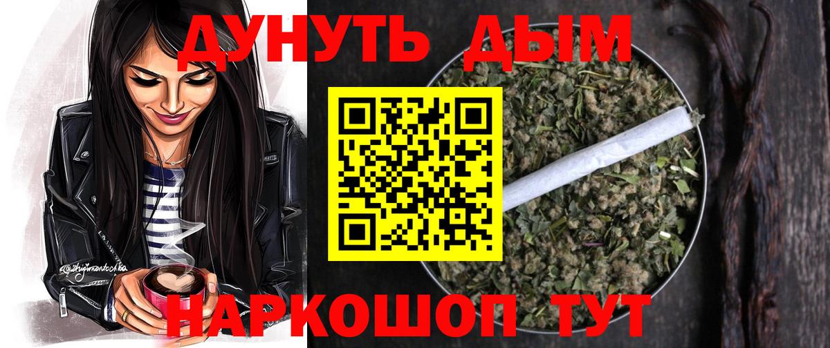 Бошки Шишки план Майкоп
